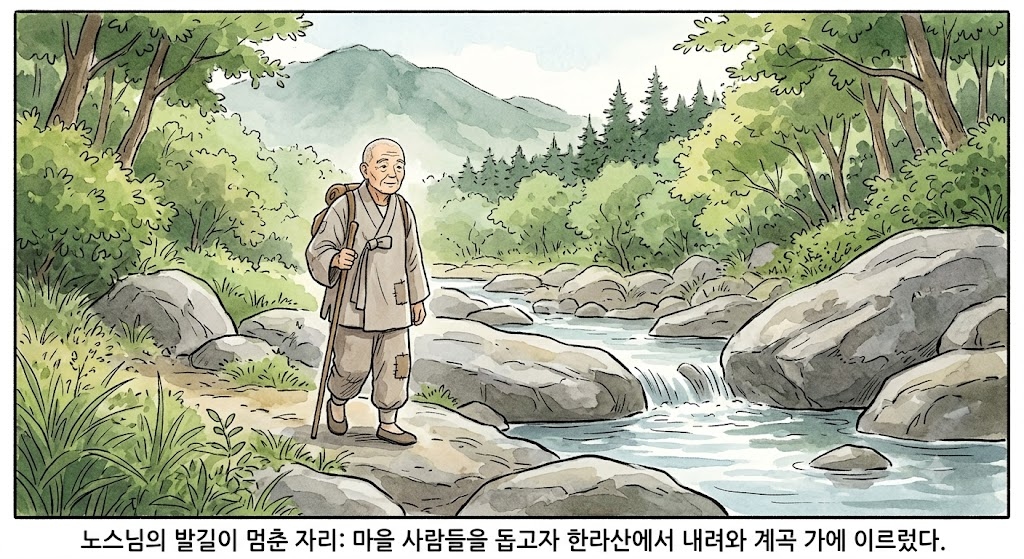 노스님의 발길이 멈춘 자리